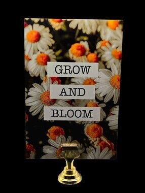 "5/$40" Reversible Set Of 2  4x6 Photo Cards W/Gold Stand Daisies/Bicycle